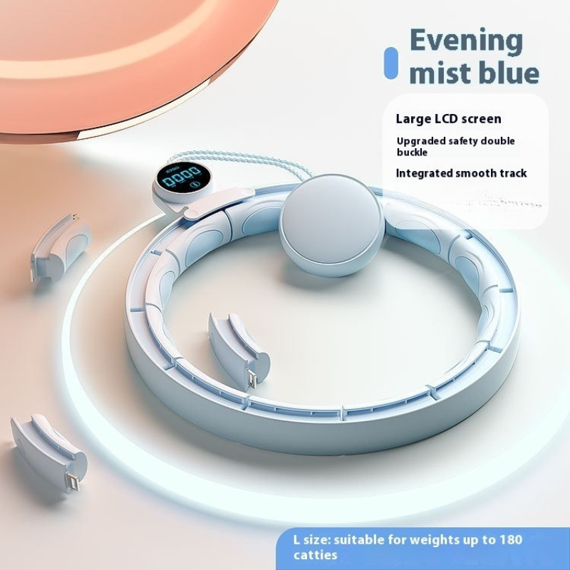 Smart Digital Weight-Bearing Fitness Equipment