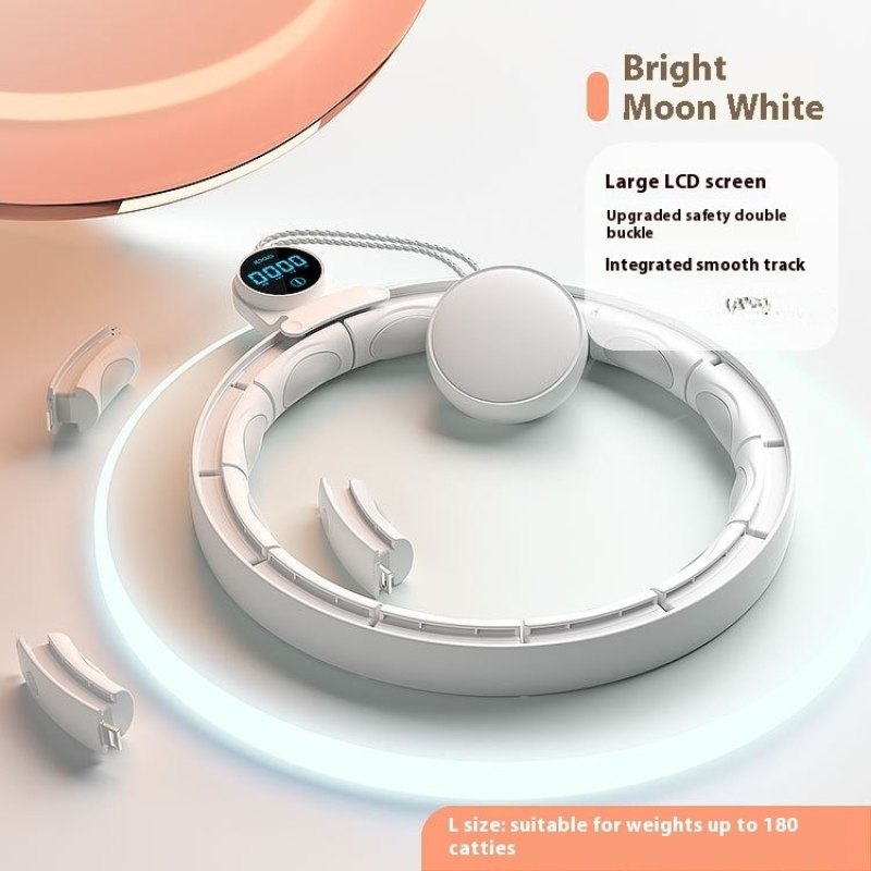 Smart Digital Weight-Bearing Fitness Equipment