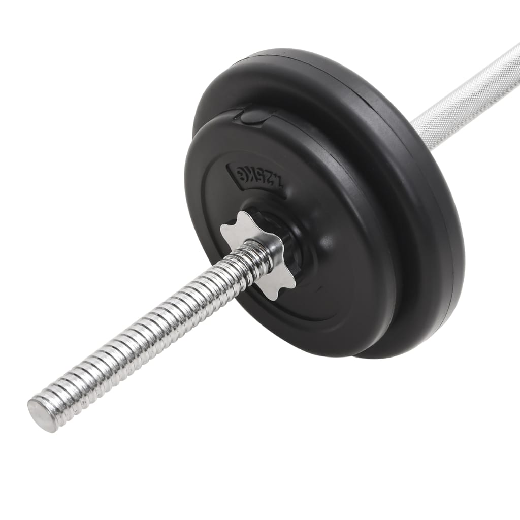 Adjustable Barbell And Dumbbell Set Home Gym