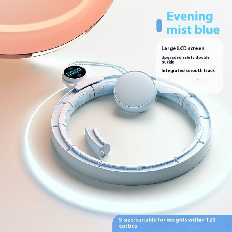 Smart Digital Weight-Bearing Fitness Equipment
