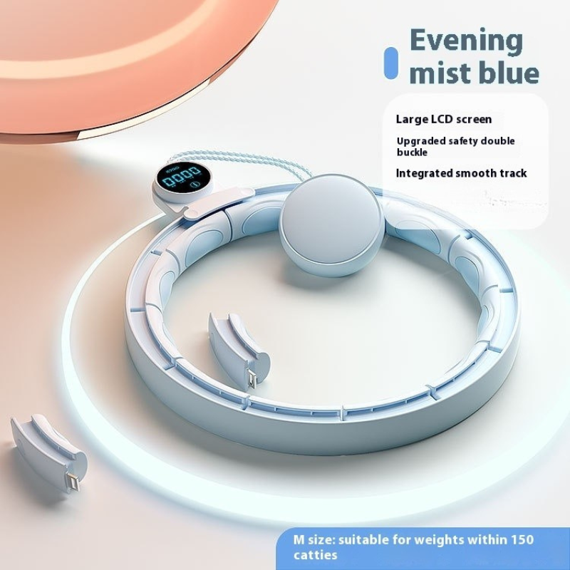 Smart Digital Weight-Bearing Fitness Equipment
